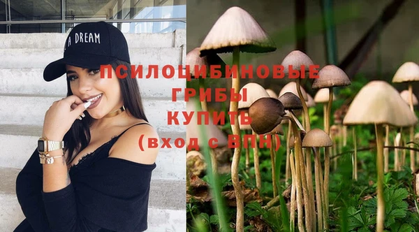 COCAINE Белокуриха
